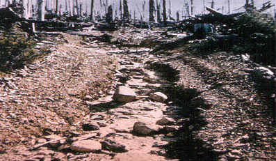 Photo of heavily eroded logging road.