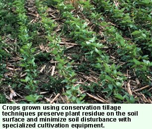 Photo: Crops grown using conservation tillage techniques need specialized cultivation equipment, but they promote water quality protection by preserving crop residue on the soil surface and minimizing soil disturbance.