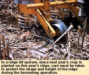 In a ridge-till system, next year's crop is planted on this year's ridge. Care must be taken to protect the shape and height of the ridge during the harvesting operation.