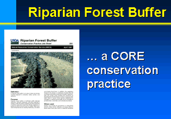 Riparian forest buffer--a CORE conservation practice