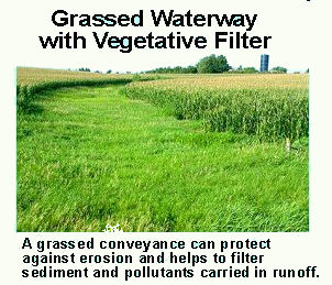 Photo of a grassed waterway with vegetative filter: a grassed conveyance can protect against erosion and help to filter sediment and pollutants carried in runoff