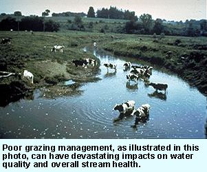 Agricultural Management Practices for Water Quality Protection 