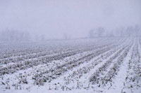 photo of snowy field