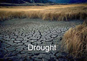 photo of dry, cracked soil caused by a drought