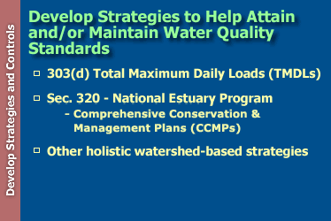 Develop Strategies to Help Attain and/or Maintain Water Quality Standards: 303(d) Total Maximum Daily Loads (TMDLs); Sec. 320--National Estuary Program (Comprehensive conservation and management plans (CCMPs)); and other holistic watershed-based strategies