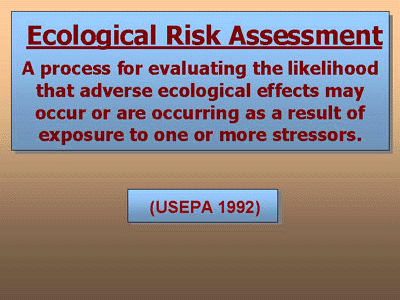 Ecological Risk Assessment - A process for evaluating the likelihood that adverse ecological effects may occur and are occurring as a result of exposure to one or more stressors. 