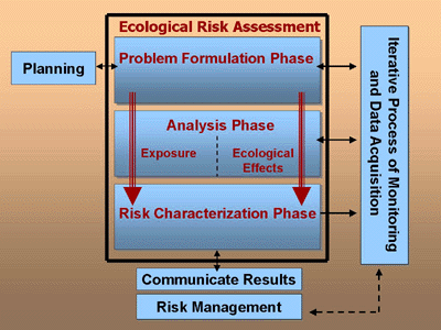 Ecological Risk Assessment Flowchart