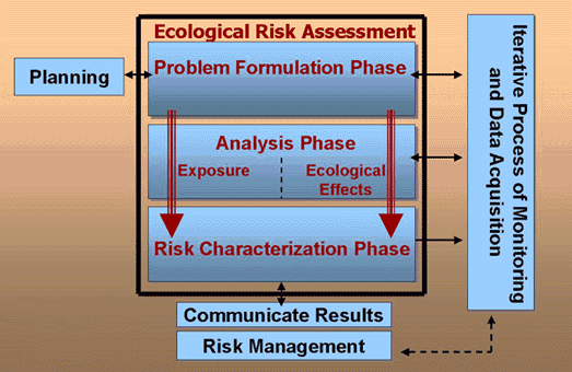 Ecological Risk Assessment Flow Chart