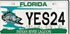 Graphic showing a Florida license plate with the letters YES and the number 24.