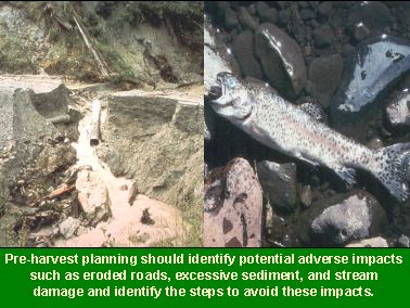 Pre-harvest planning should identify potential adverse impacts such as eroded roads, excessive sediment, and stream damage.  It should then identify steps to avoid these impacts.