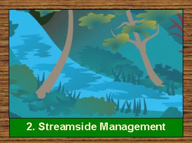 2. Streamside Management