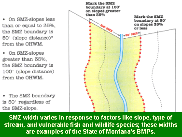 Diagram showing Montana's SMZ guidelines: SMZ width varies in response to factors like slope, type of stream, and populations of vulnerable fish and wildlife species; these widths are examples of the State of Montana's BMPs.