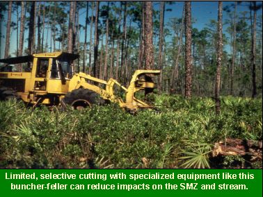Photo: Limited, selective cutting with specialized equipment like this buncher-feller can reduce impacts on the SMZ and stream.
