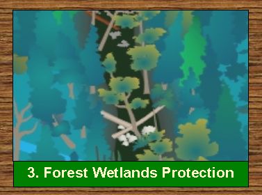 3. Forest Wetlands Protection