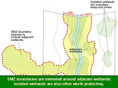 Diagram: SMZ boundaries are extended around adjacent wetlands; isolated wetlands are also often worth protecting.