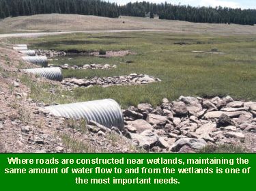 Photo showing culverts that maintain water flow to wetlands: Where roads are constructed near wetlands, maintaining the same amount of water flow to and from the wetlands is one of the most important needs.