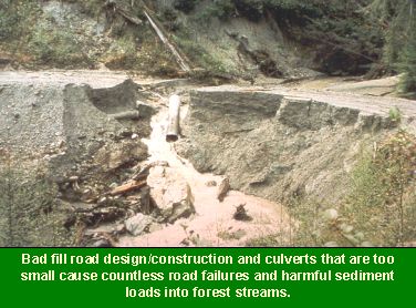 Photo showing road failure and resulting erosion: Bad fill road design/construction and culverts that are too small cause countless road failures and harmfull sediment loads into forest streams.