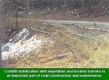 Photo: Cut and fill stabilization with vegetation and erosion barriers is an important part of road construction and maintenance.