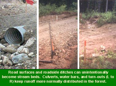 Photos: Road surfaces and roadside ditches can unintentionally become stream beds. Culverts, water bars, and turnouts (shown from left to right in the photo) keep runoff more normally distributed in the forest.