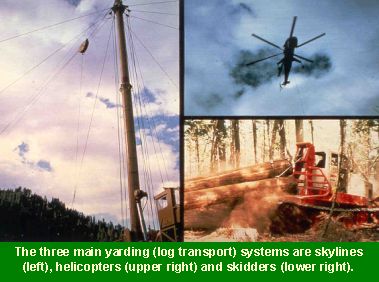 Photo showing the three main yarding (log transport) systems: skylines, helicopters, and skidders