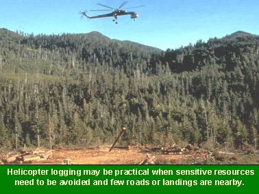 Photo of helicopter logging: Helicopter logging may be practical when sensitive resources need to be preserved and when few roads and landings are nearby.