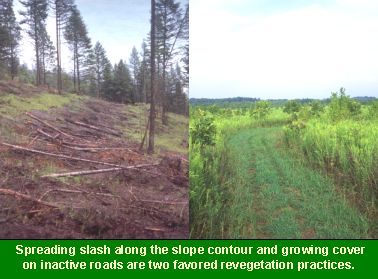 Photo (left) showing slash along slope contours.  Photo (right) showing a revegetated inactive road.  Spreading slash along the slope contour and growing cover on inactive roads are two favored revegetation practices.