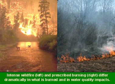 Photo: Intense wildfire (left) and a prescribed burning (right) differ dramatically in what is burned and in water quality impacts.