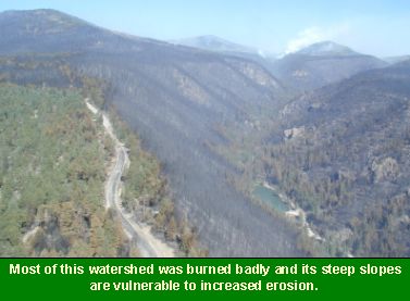 Photo of a badly burned forest on a steep slope: Most of this watershed was burned badly; its steep slopes are vulnerable to increased erosion.
