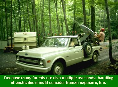 Photo of forest worker applying chemicals from a truck: because many forests are also multiple use lands, handling of pesticides should also consider human exposure.
