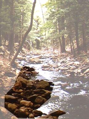 Stream channel has boulders and woody debris, creating instream habitat.