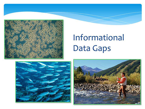 Informational data gaps
