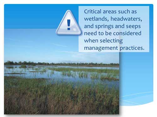 Critical areas such as wetlands, headwaters, and springs and seeps need to be considered when selecting management practices.