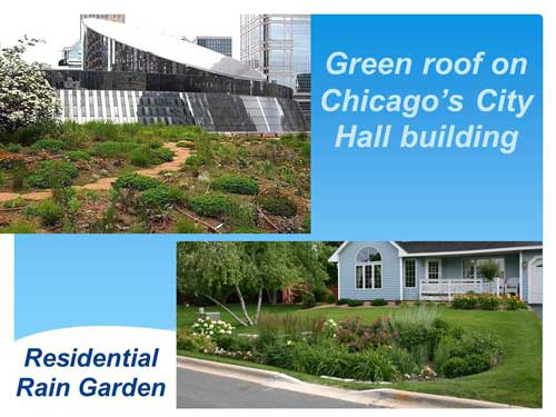 Photo of a green roof on Chicago’s City Hall building and a residential rain garden.