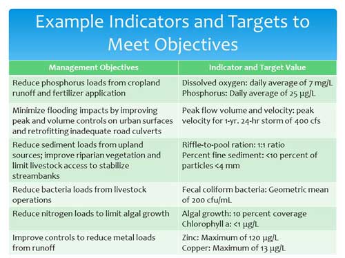 A table of example indicators and targets to meet objectives.