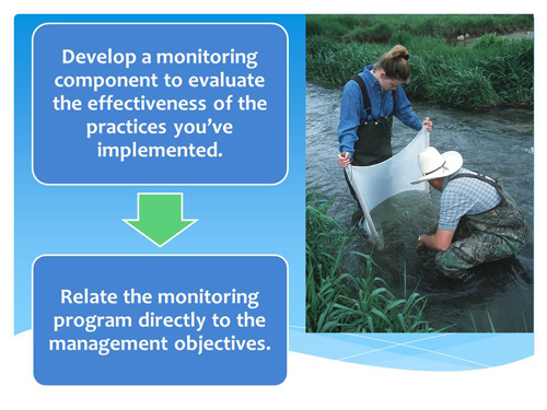 Picture of a team taking water samples from a small stream.