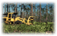 Image of a bulldozer pushing up trees