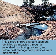 This picture shows a stream segment identified as impacted through a watershed monitoring program and before best management practices were implemented.