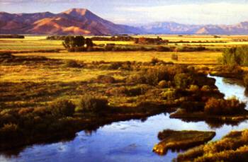 picture of upland plain