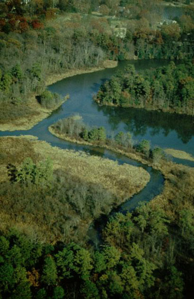 Photo of a river fork.