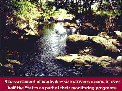 Bioassessment of wadeable-size streams occur in over half the States as part of their monitoring programs.