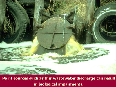 Point sources such as this wastewater discharge can result in biological impairments.