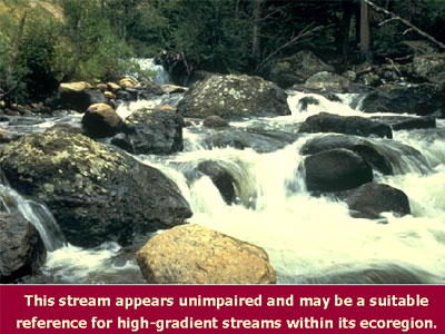 This stream appears unimpaired and may be a suitable reference for high-gradient streams within its ecoregion.