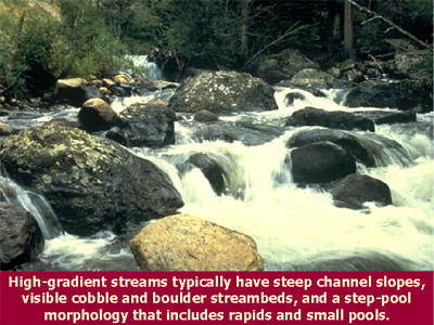 High-gradient streams typically have steep channel slopes, visible streambeds of cobbles and boulders, and a step-pool morphology that includes rapids and small pools.