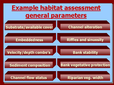 Example habitat assessment of general parameters: substrate/available cover, embeddedness, velocity/depth ratios, sediment composition, channel flow status, channel alteration, riffles and sinuosity, bank stability, bank vegetative protection, and riparian vegetative width