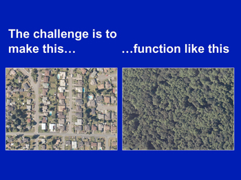 The challenge is to make this densely populated area function more like the densely forested area.