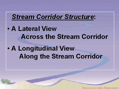 Stream Corridor Structure