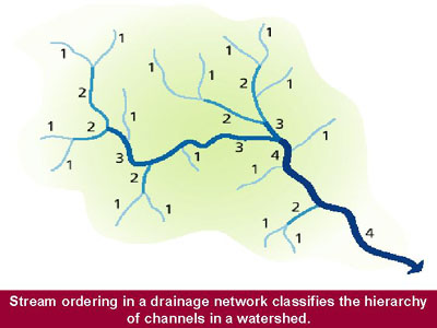 Stream ordering in a drainage network classifies the hierarchy of channels in a watershed.