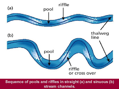 Sequence of pools and riffels in straight and sinuous stream channels.