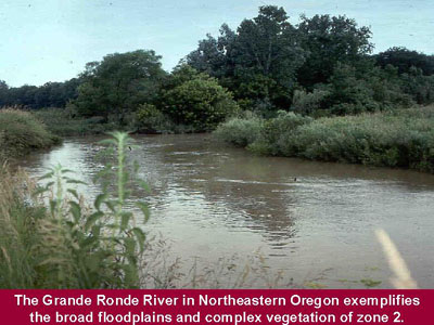 The Grand Ronde River in Northeaster Oregon exemplifies the broad flood plains and complex vegetation of zone 2.