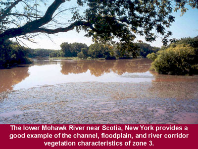 The lower Mohawk River near Scotia, New York provides a good example of the channel, flood plain and river corridor vegetation characteristics of zone 3.